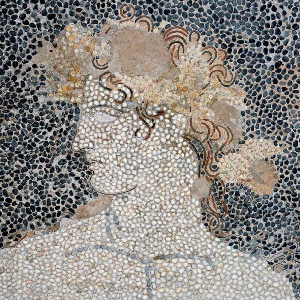 🌿Héraklès Citharède🏺