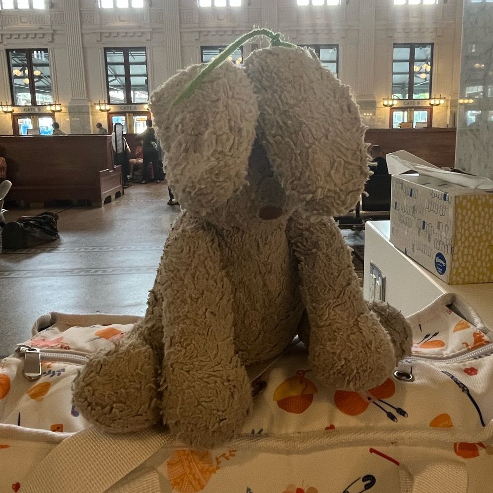 mickey bunny