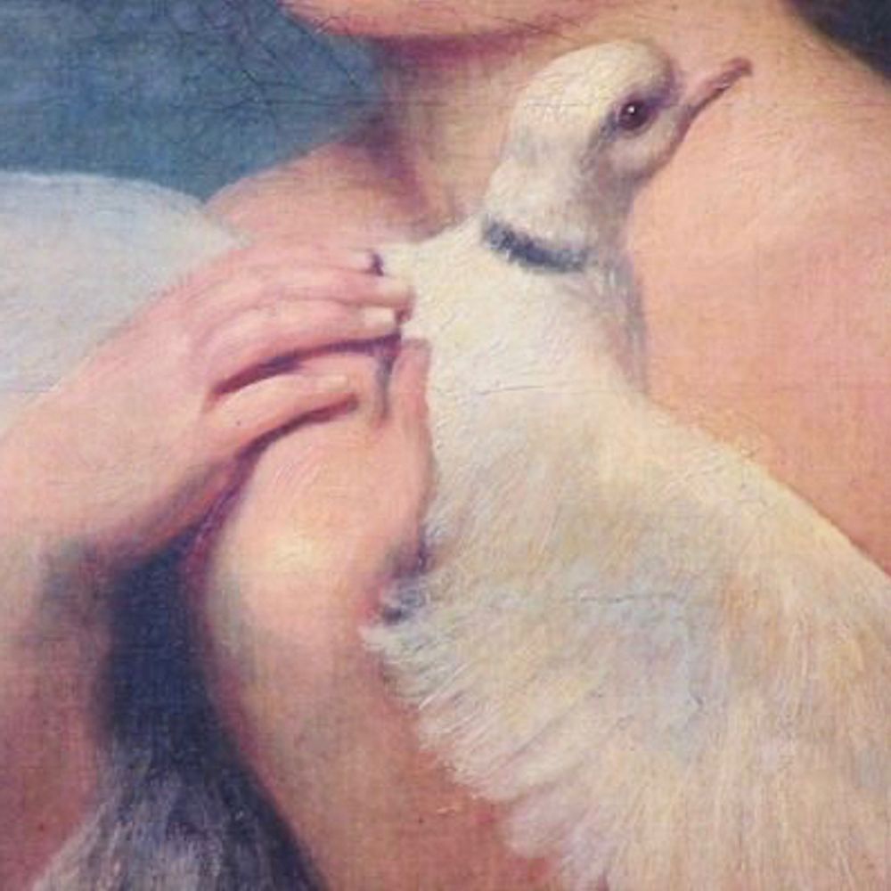 🩸🫀🕊️