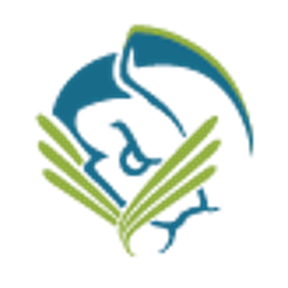 Viszen Security - Bringing security and IT together