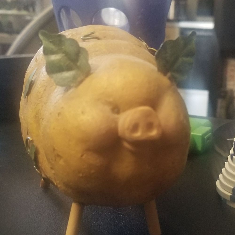 Lightweight Goron