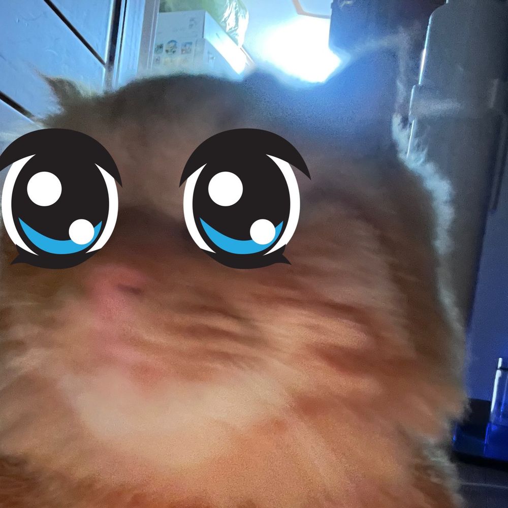 란우는 암담션