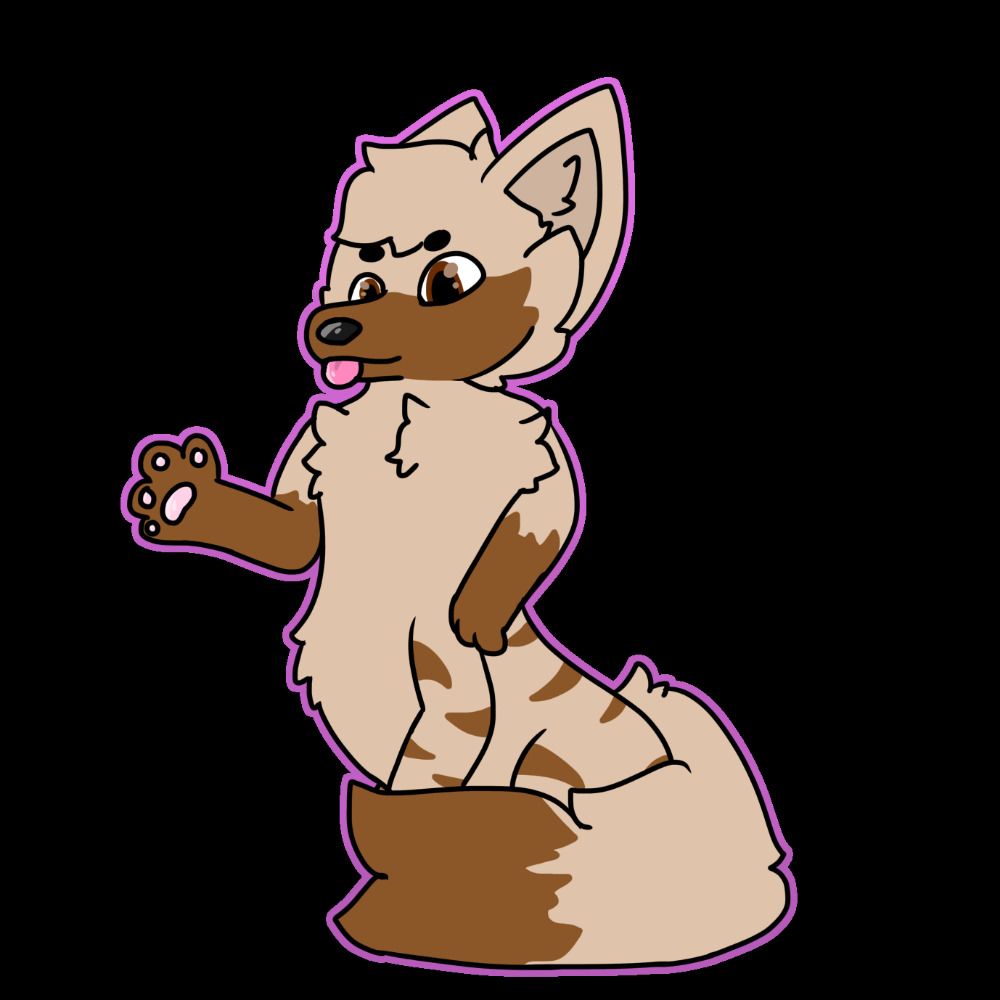 Kit Killovarras