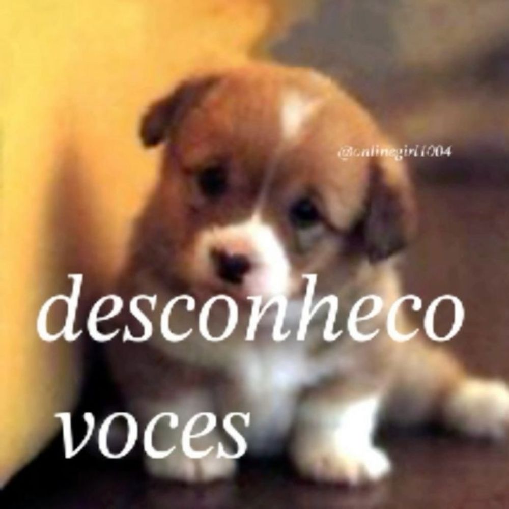 salsicha 