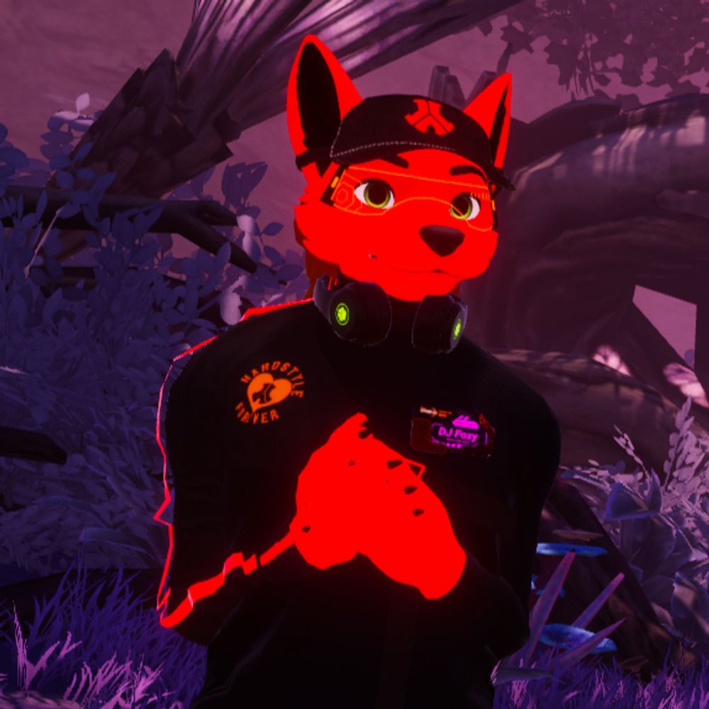 DJ Foxy 🎧🧡 DJing @ AFC 2025