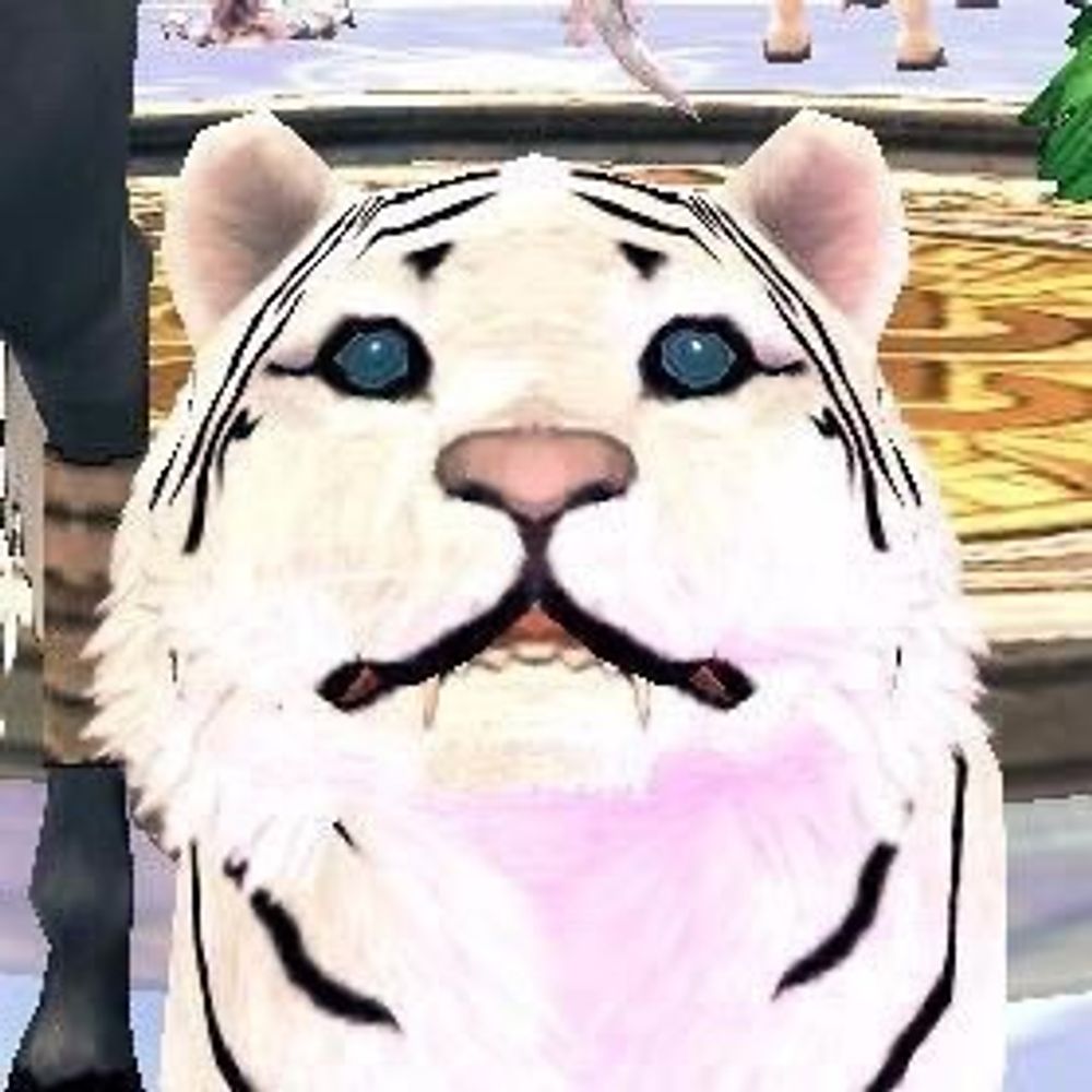 とらぎく