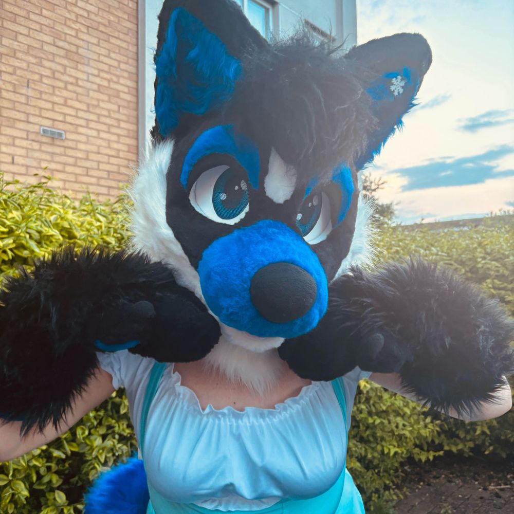Blue Husky✨