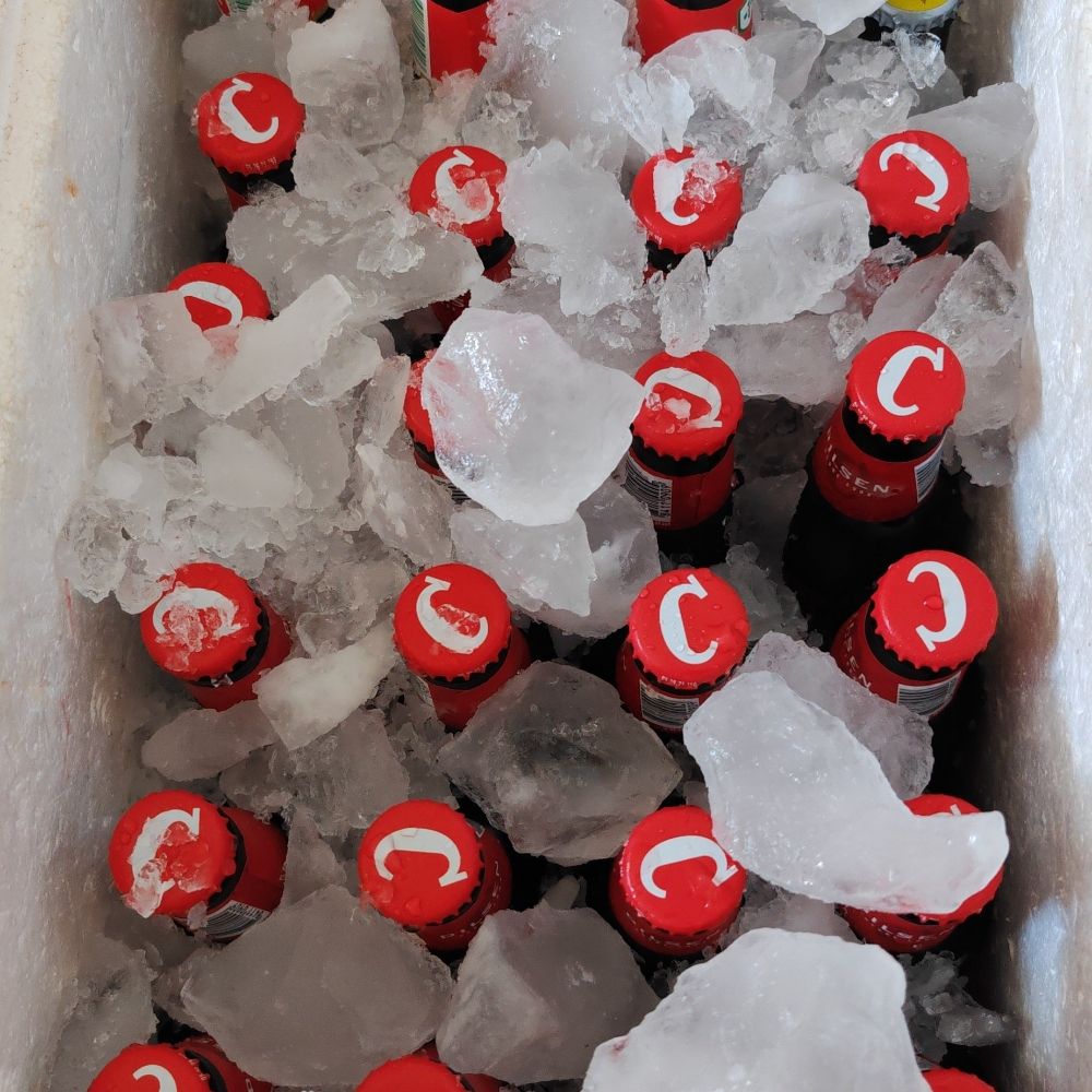 Botellines