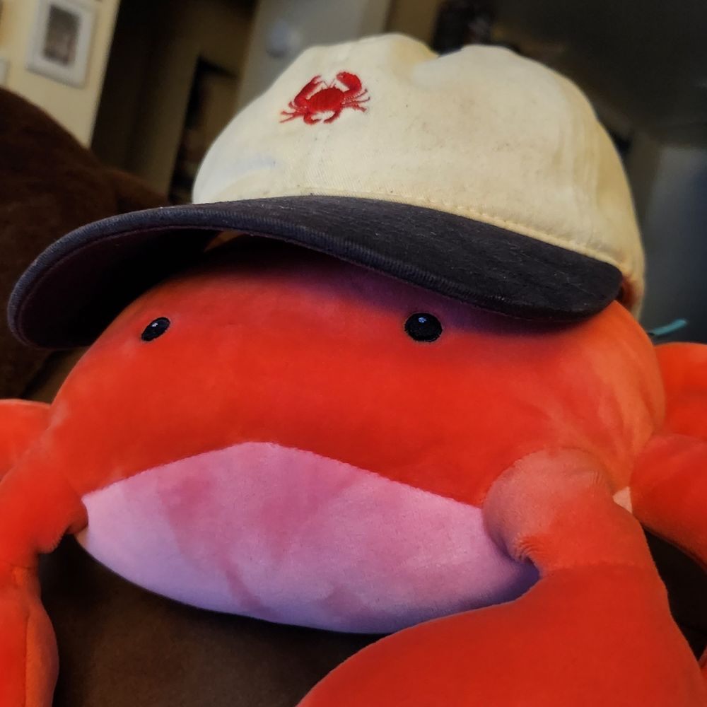 Mr Crabboid