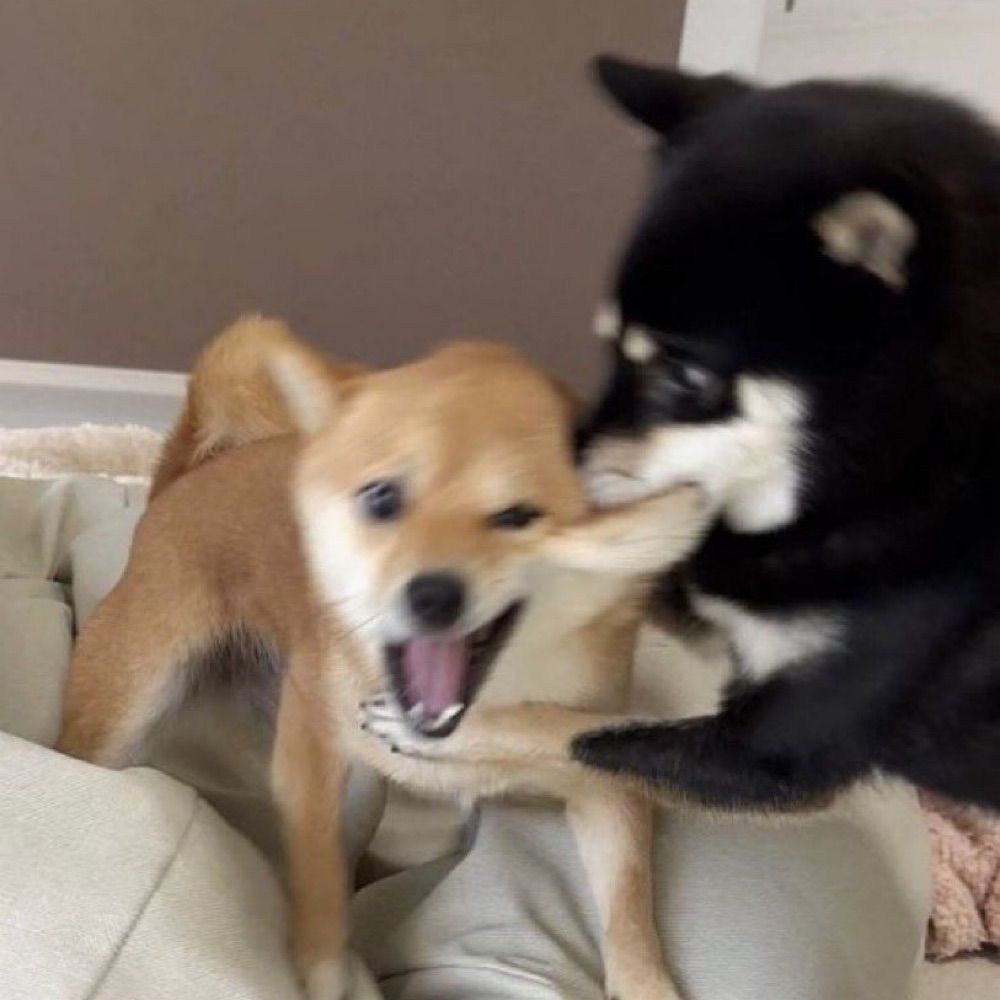 ぬーん