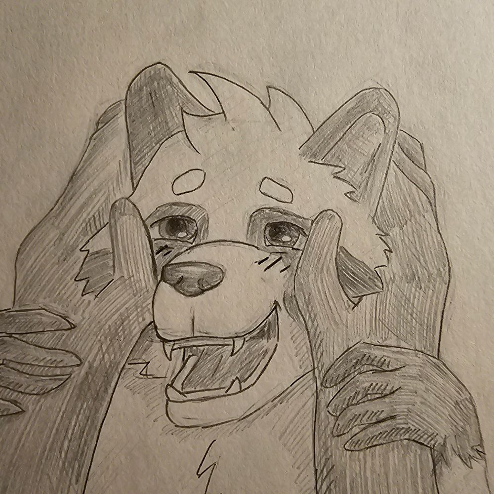 Zoon the Bear