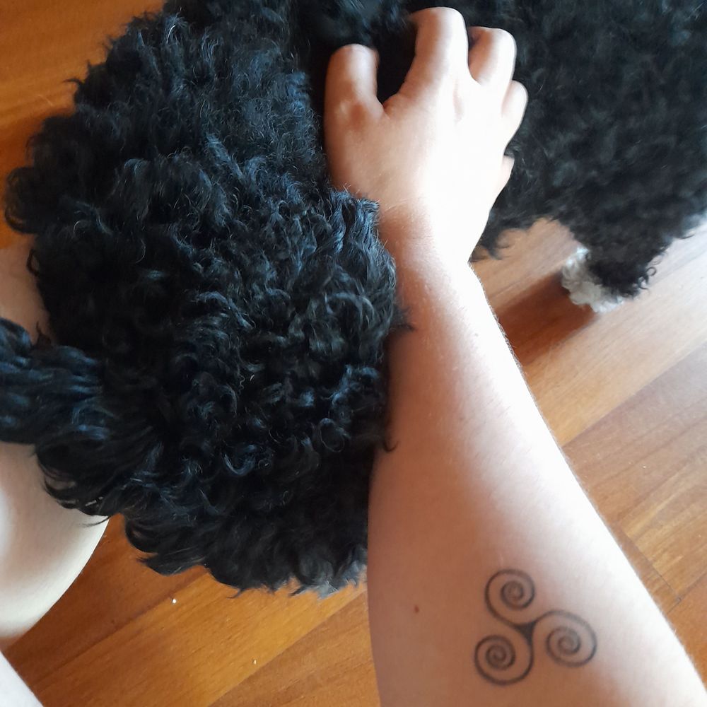 Ilíada (elu/ela)#7291🏳️‍⚧️🏳️‍🌈