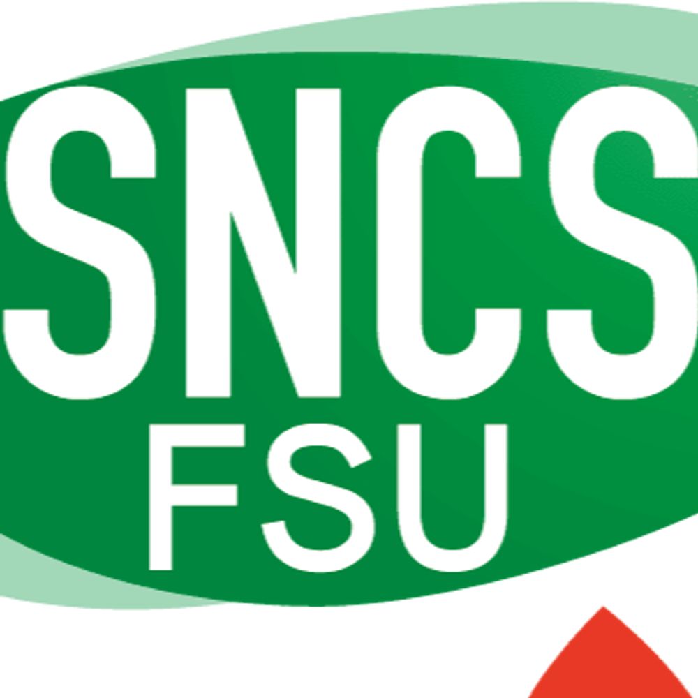 SNCS-FSU Inria