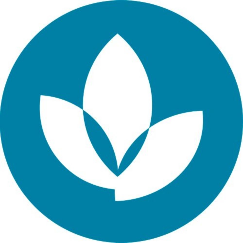 Creative Ageing SIG