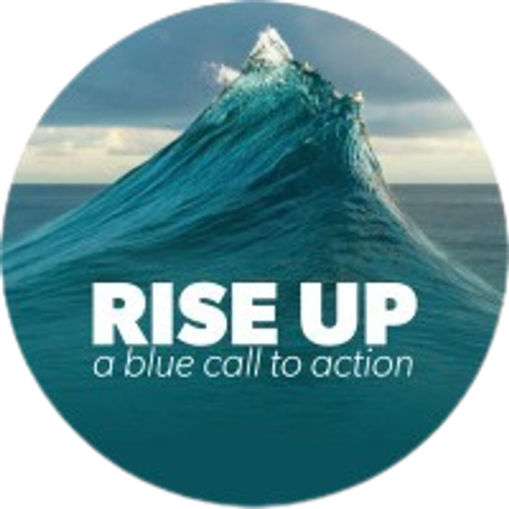 RISEUP - A Blue Call to Action