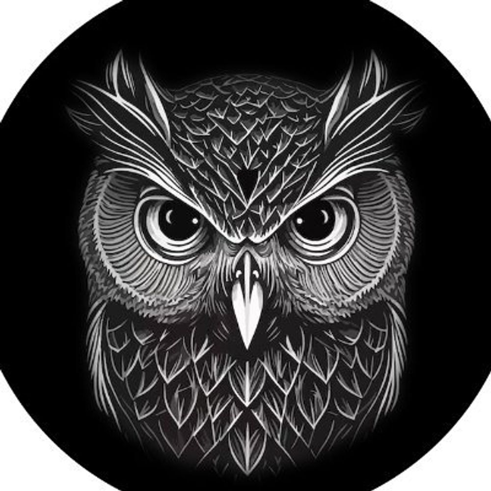 Intel Night OWL 🦉🇺🇸