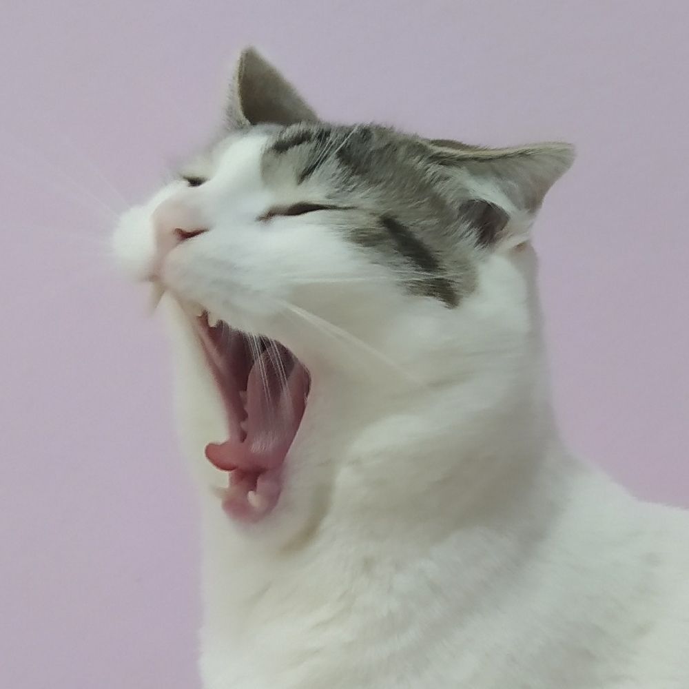 Deuse