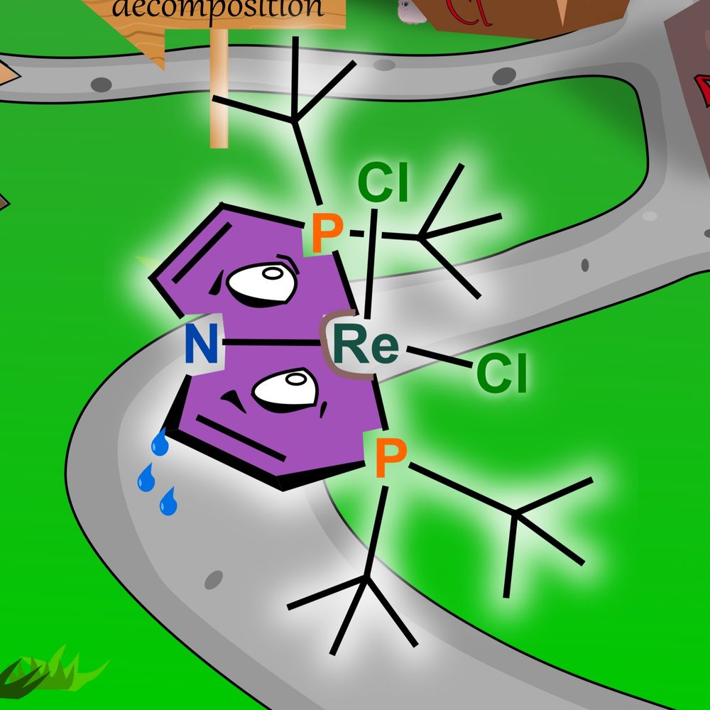 Schneider Lab