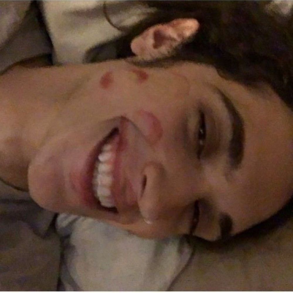PAWSTEN BITE 🐾