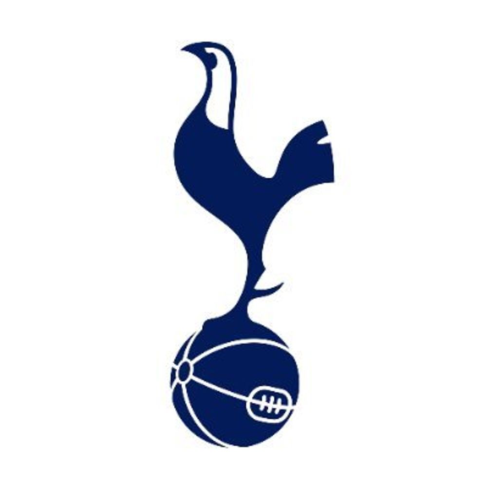 Tottenham Hotspur Academy