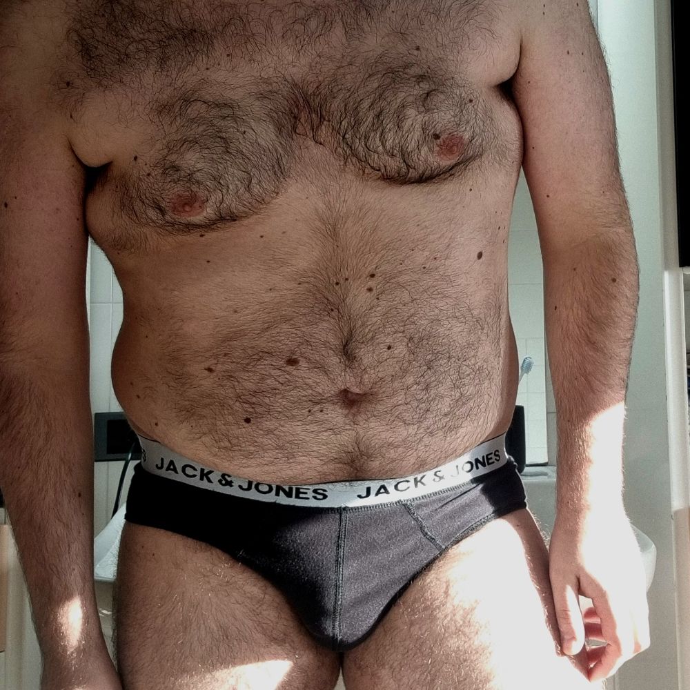 Italian Bear