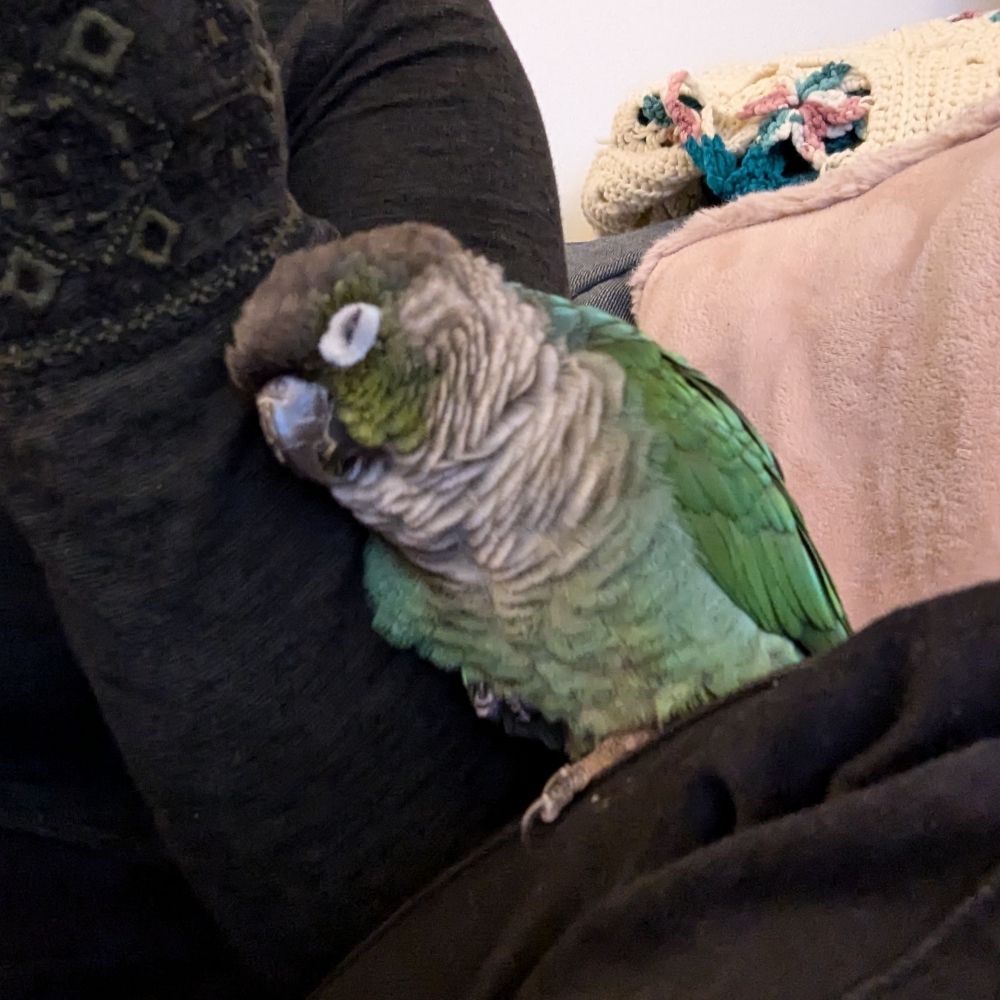 Mim
