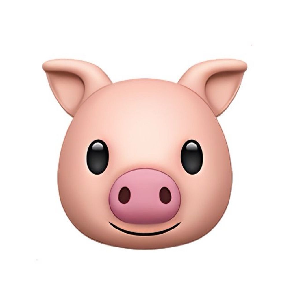Pig CS