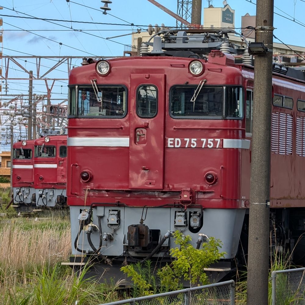 仙せん