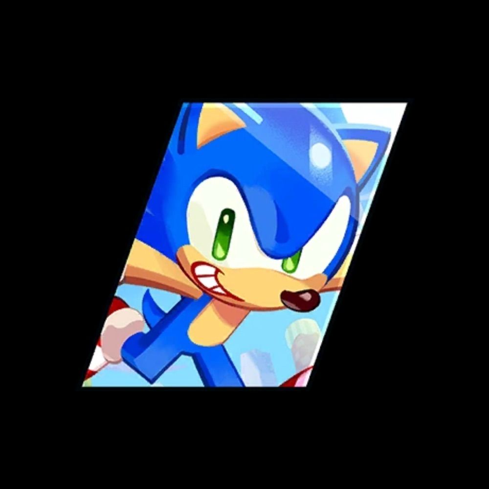 ⭑ SONIC COOKIE!