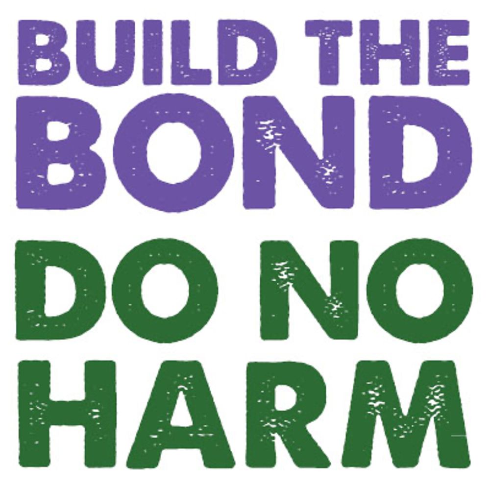 The Florida Force-Free Veterinary Behavior & Trainers Network