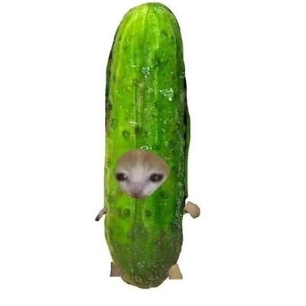 ผักอะไรขวัญอ่อน ตอบแตงกัว 🥒