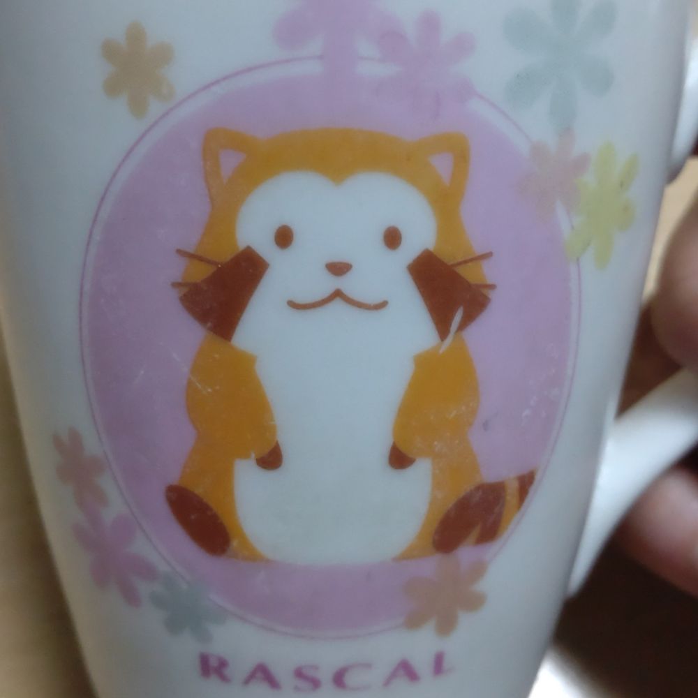 クローバーまゆみ