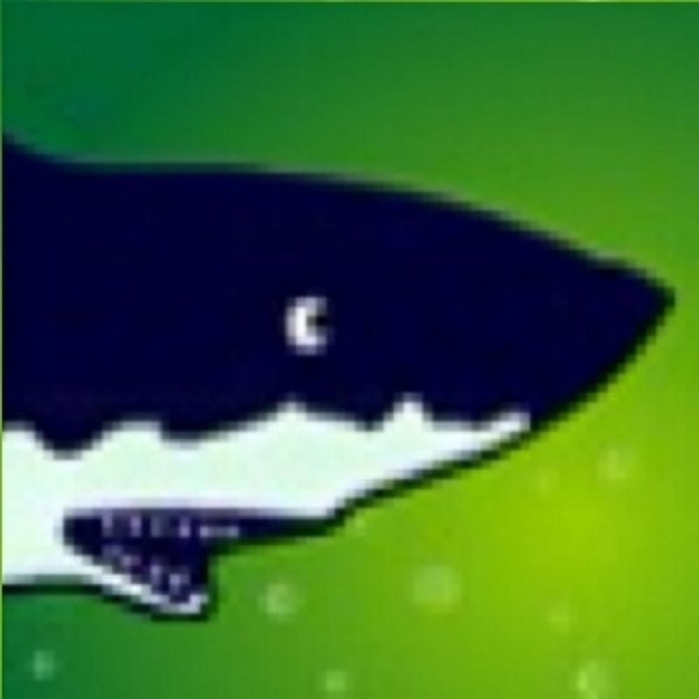 鮫🦈