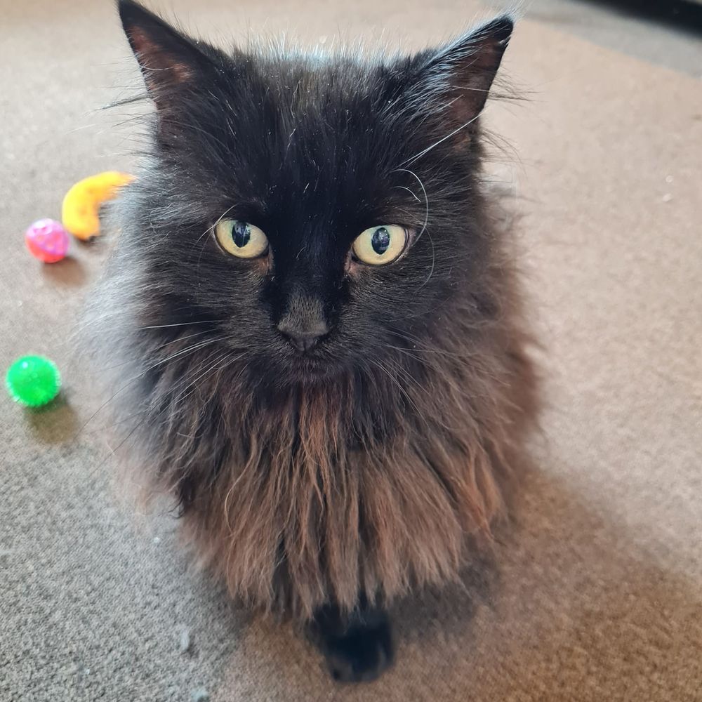 Pretty Boy Charlie