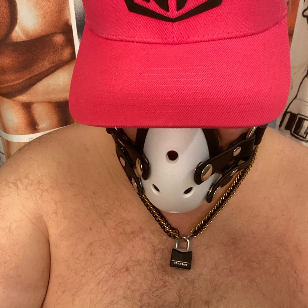 TXSubFFPig