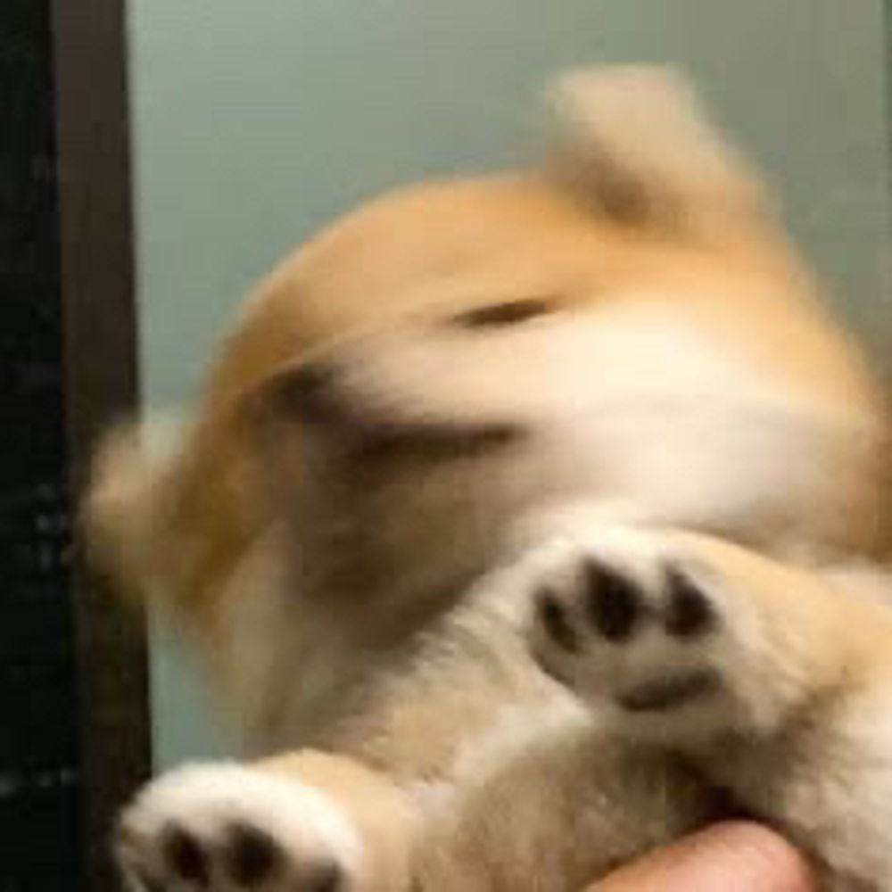 구개