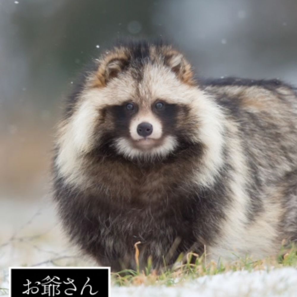 えぬᵀᵃᶰᶸᵏⁱ