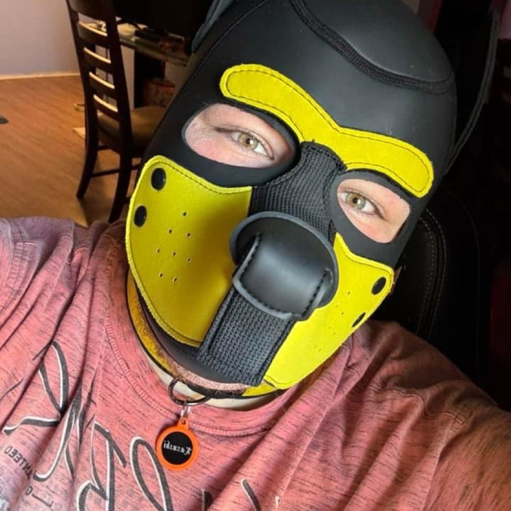 Kazushi Pupbear