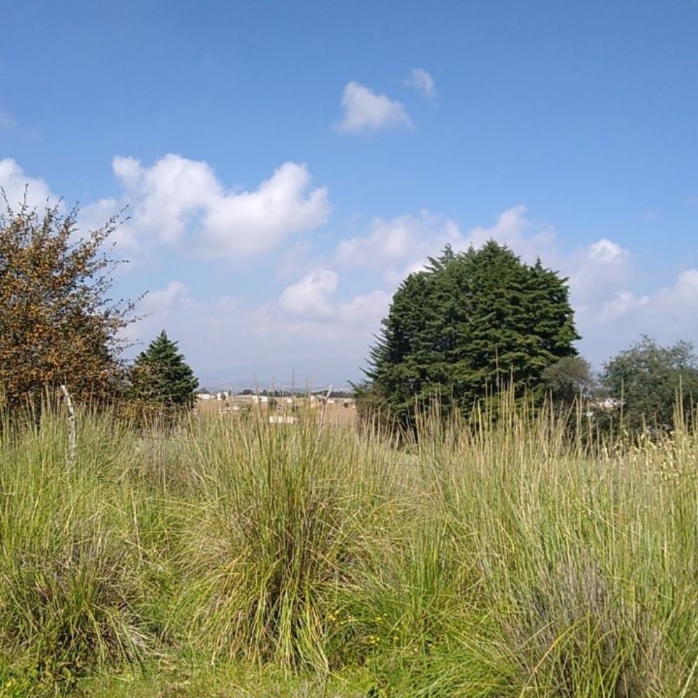 Rancho El Ojo de Agua