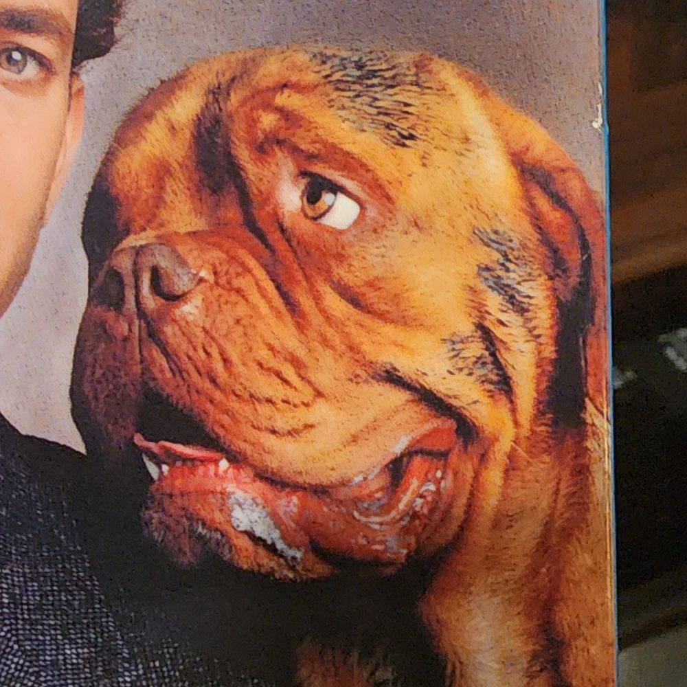 #1 Turner & Hooch fan