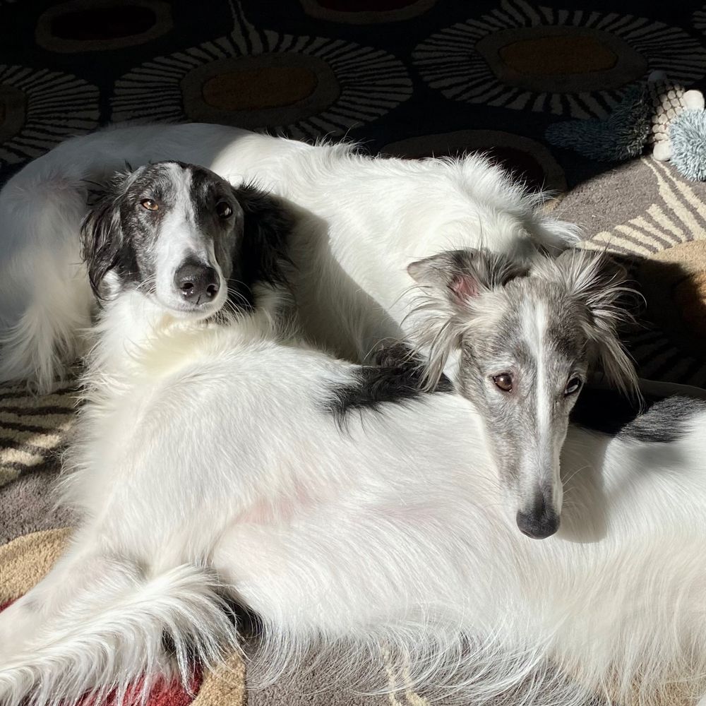 Silken Seafeather and Yeager