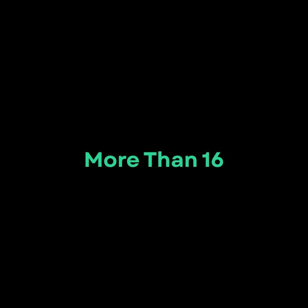 More Than 16 | You’re Not a Type. You're a Pattern.