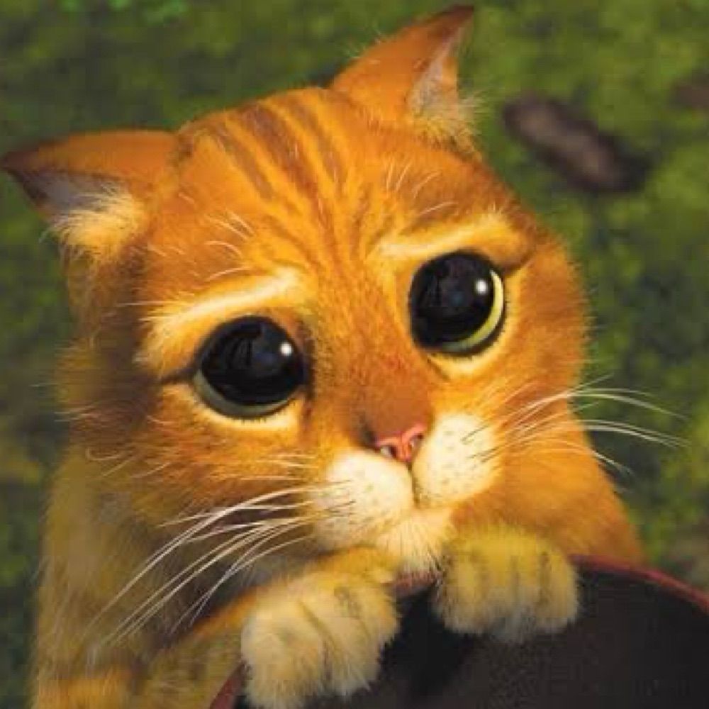 gato de botas