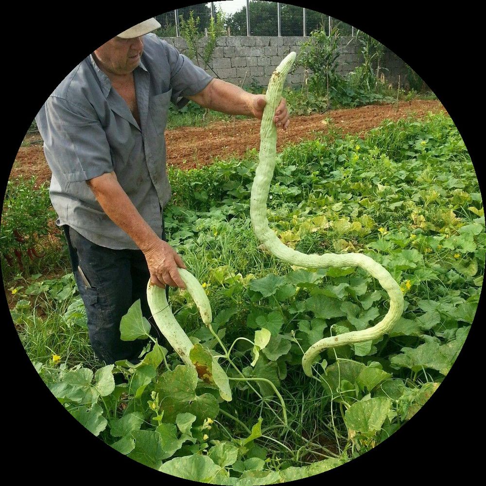 Kleingartennetzwerk