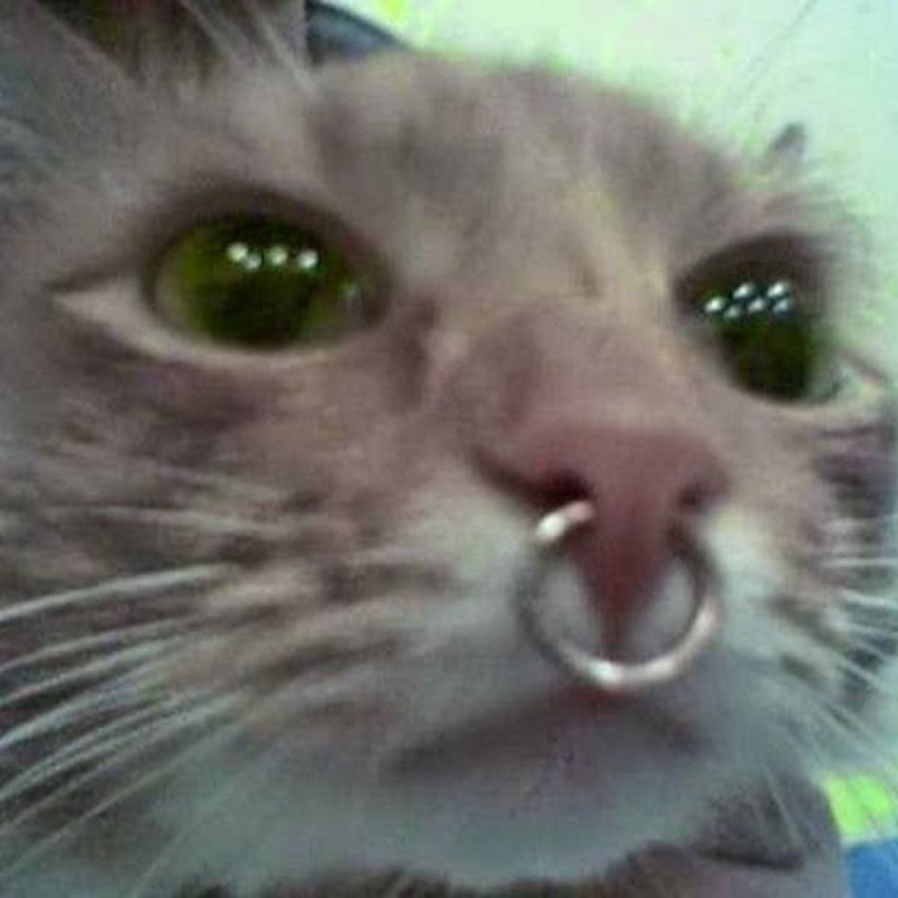Catatau from Paramore