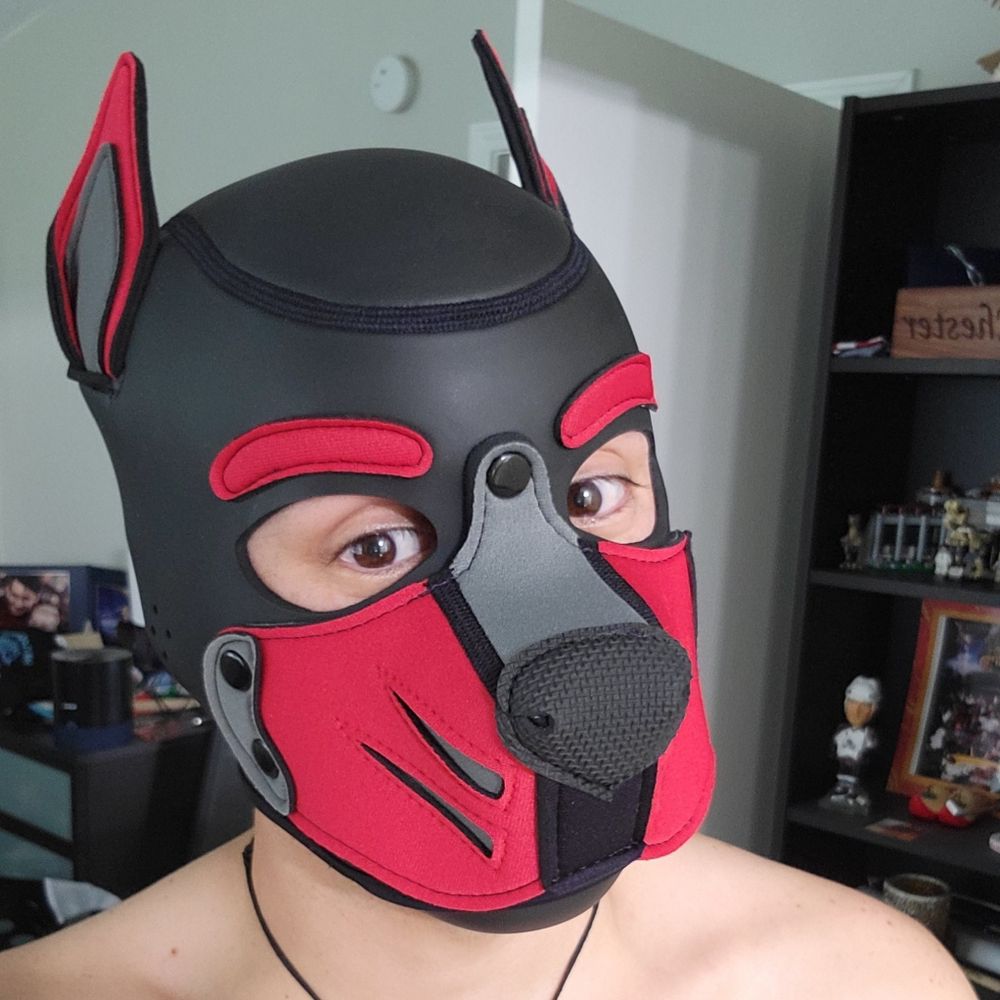 Pup Dynamo