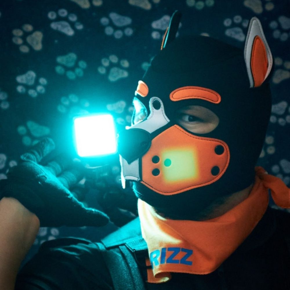 Pup Grizz