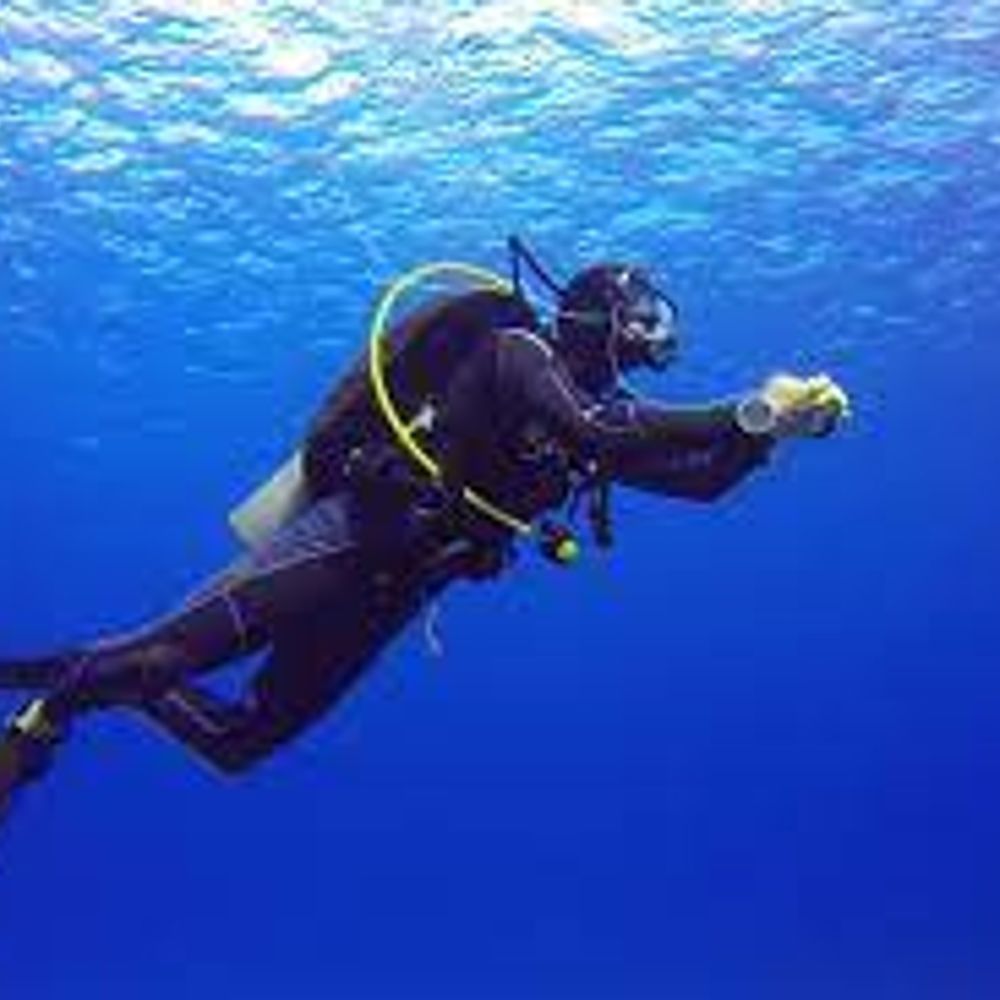 Profile picture divererodiver.bsky.social