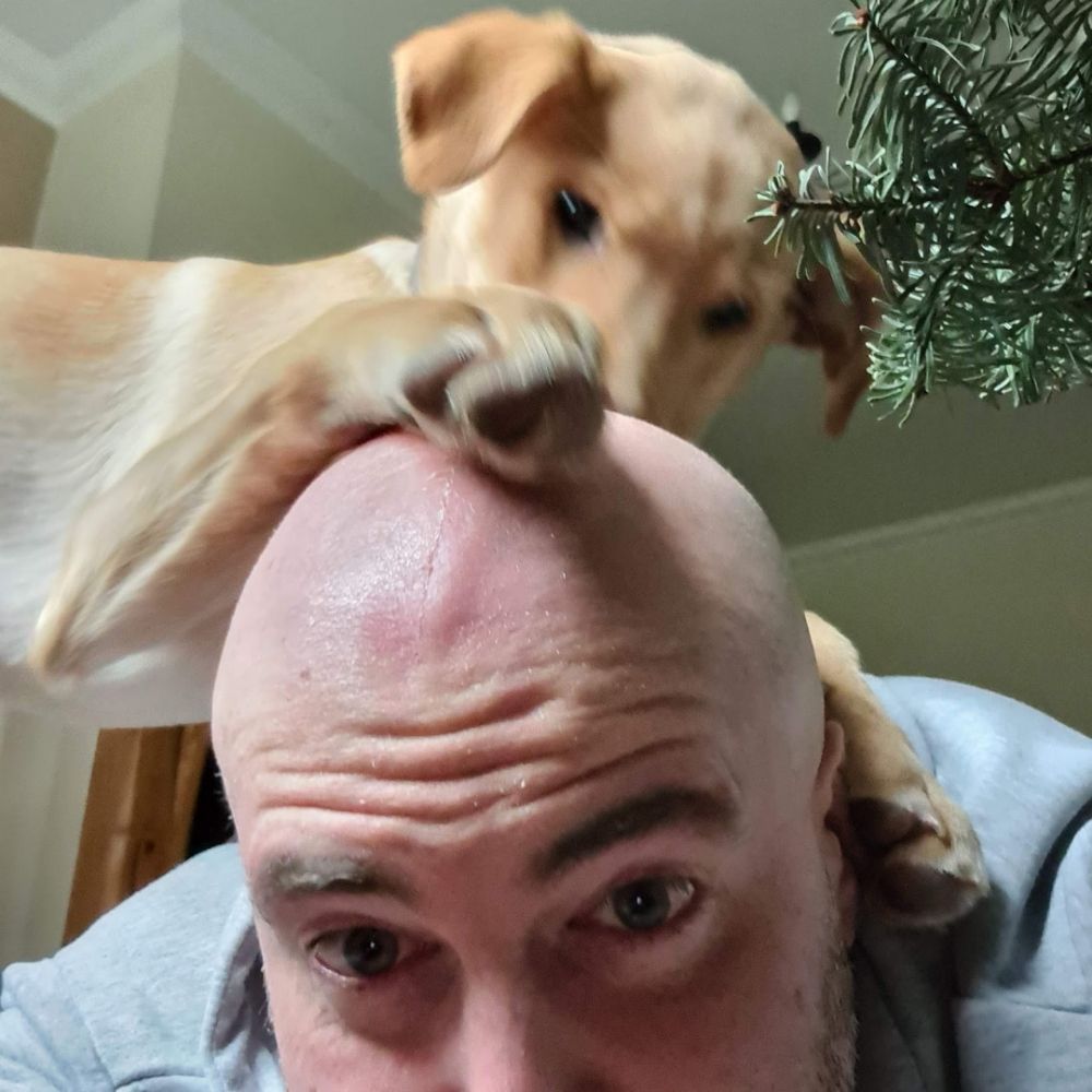 Joe