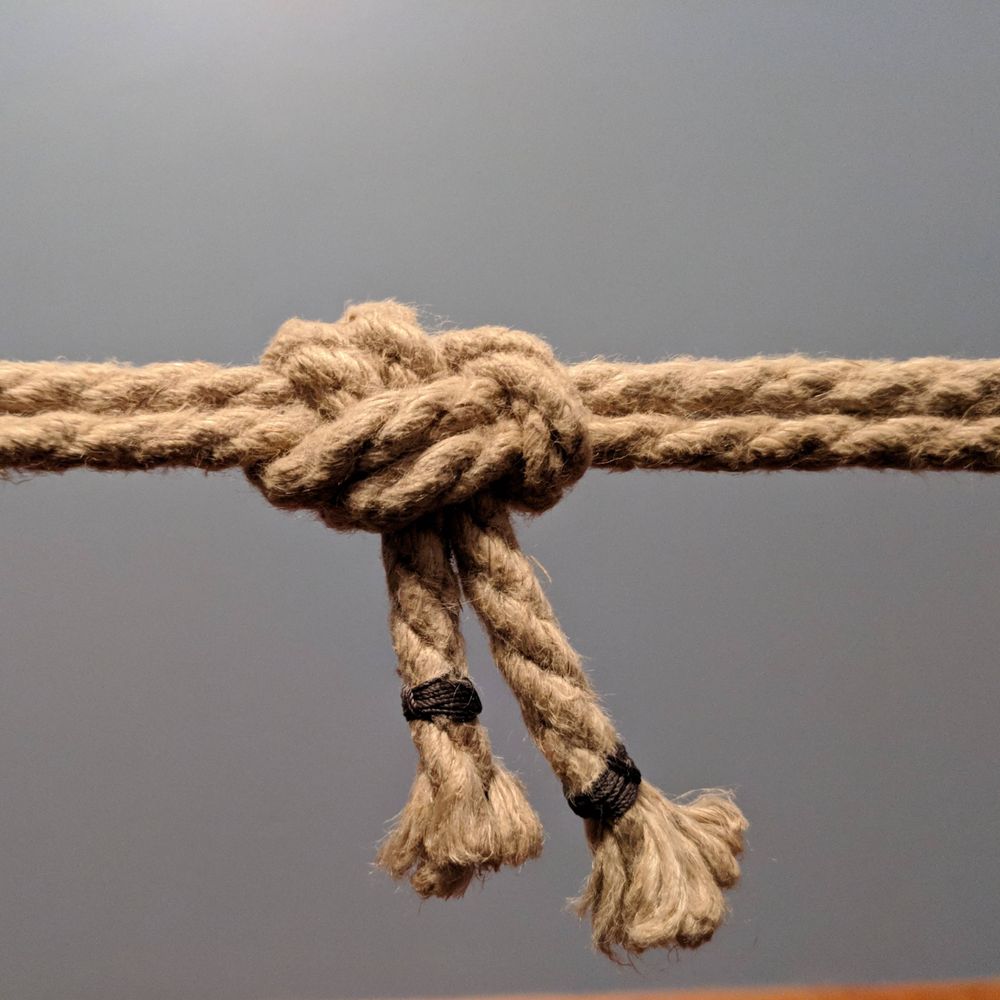 Better Living Through Shibari